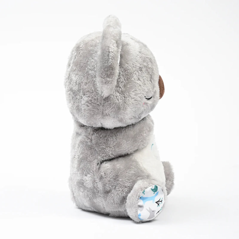 Koala - Image 4