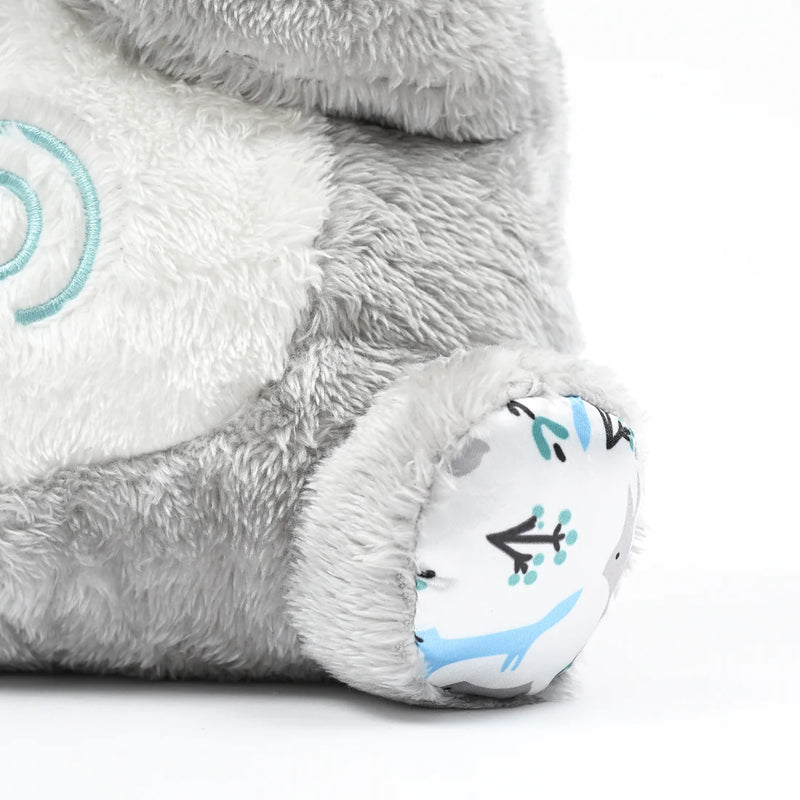 Koala - Image 7