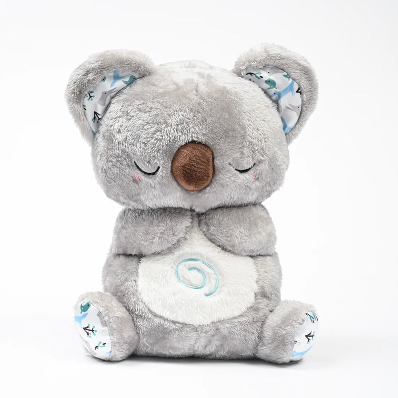 Koala - Image 2