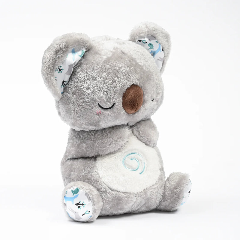Koala - Image 3